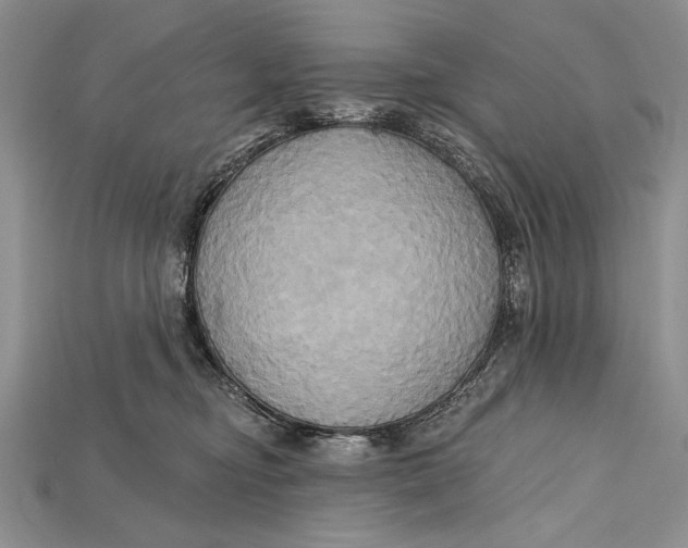 X0000114670374200911121338