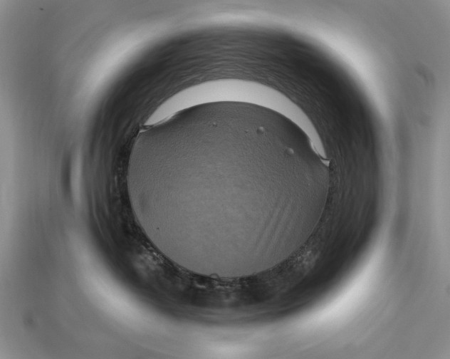 X0000114670382200911121338