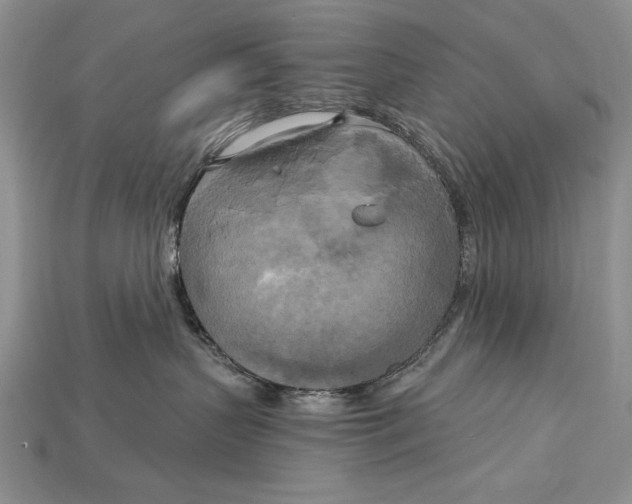 X0000114670383200911121338