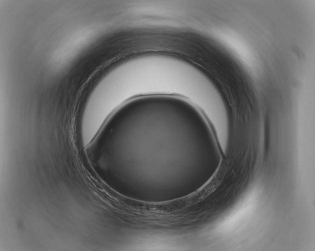 X0000114670387200911121337