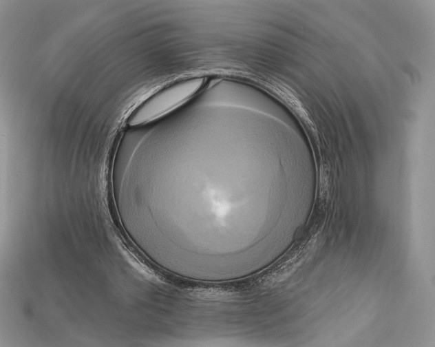 X0000114670389200911121337