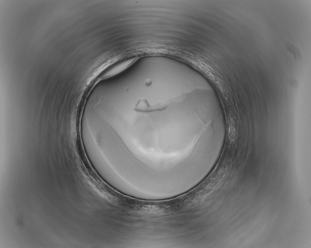 X0000114670390200911121337