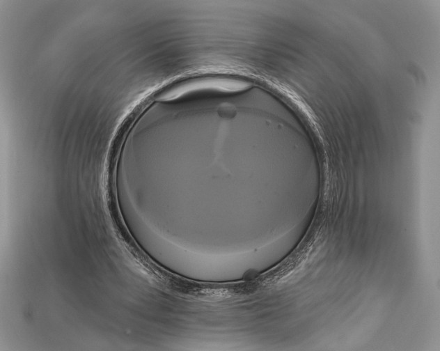 X0000114670391200911121337