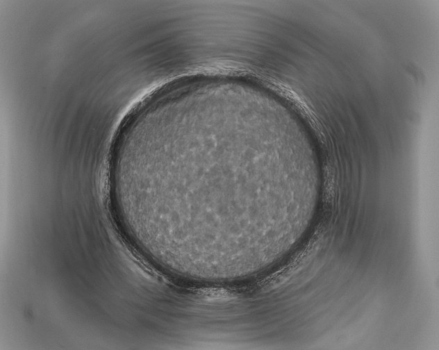 X0000114670392200911121337