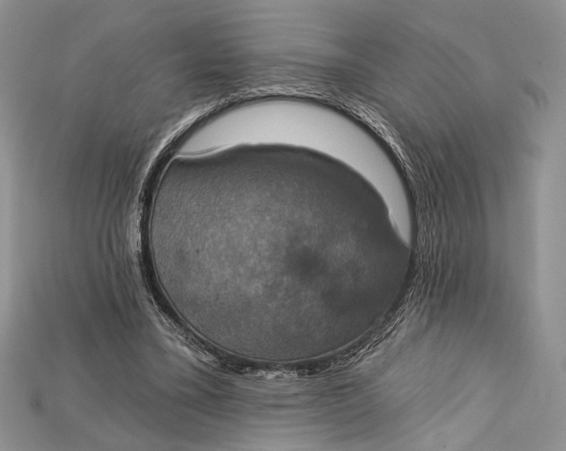 X0000114670395200911121337