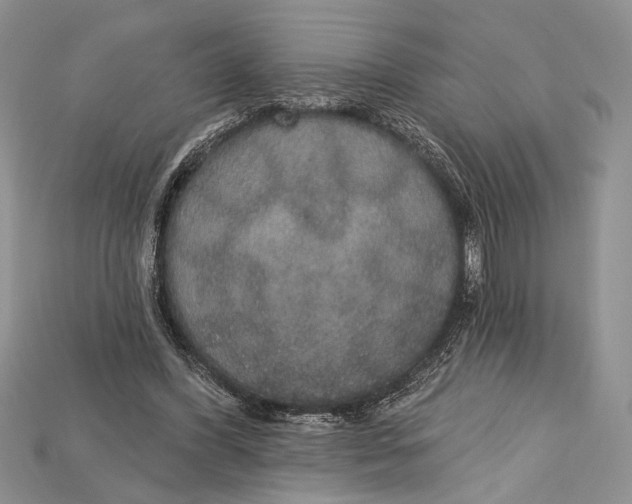 X0000114670396200911121337