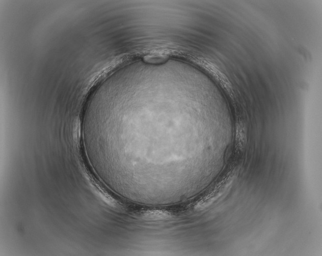 X0000114670397200911121337