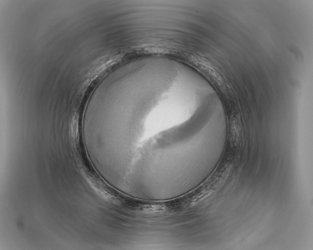 X0000114670398200911121337