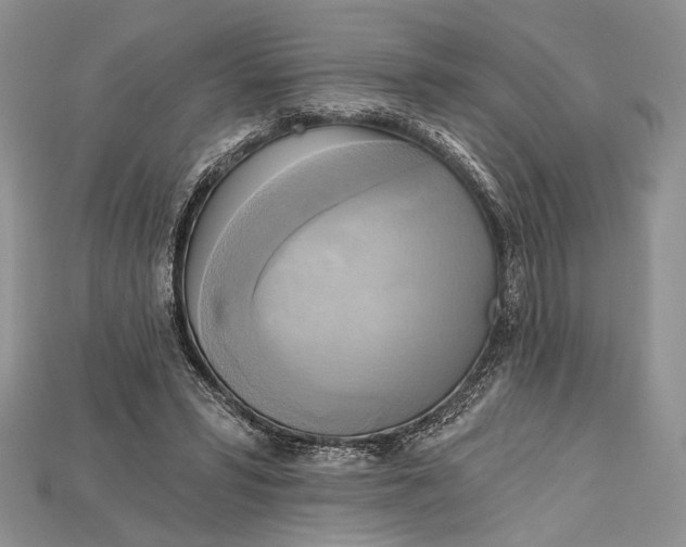 X0000114670399200911121337