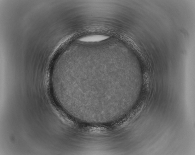 X0000114670400200911121337