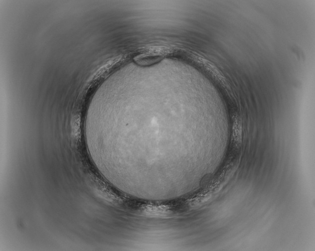 X0000114670403200911121337