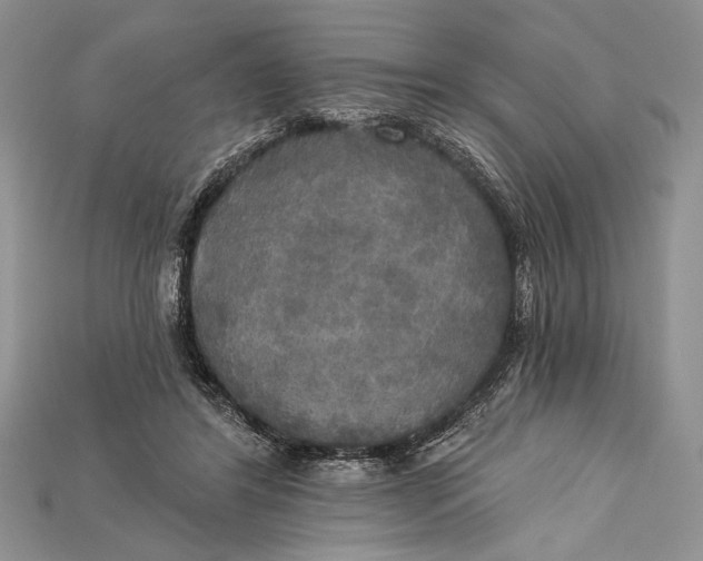 X0000114670404200911121337