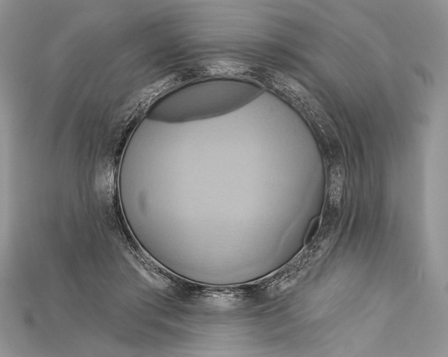 X0000114670405200911121337