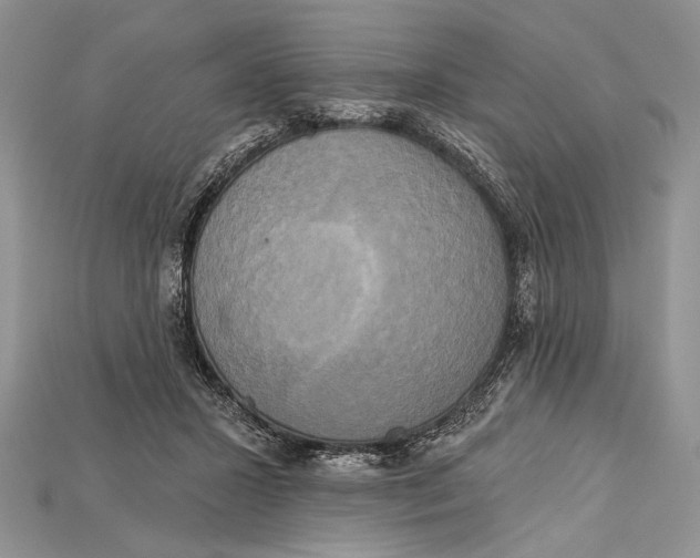 X0000114670407200911121337