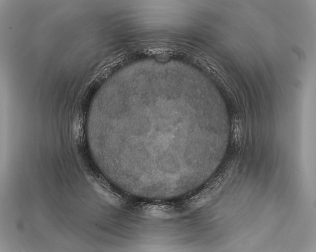 X0000114670408200911121337