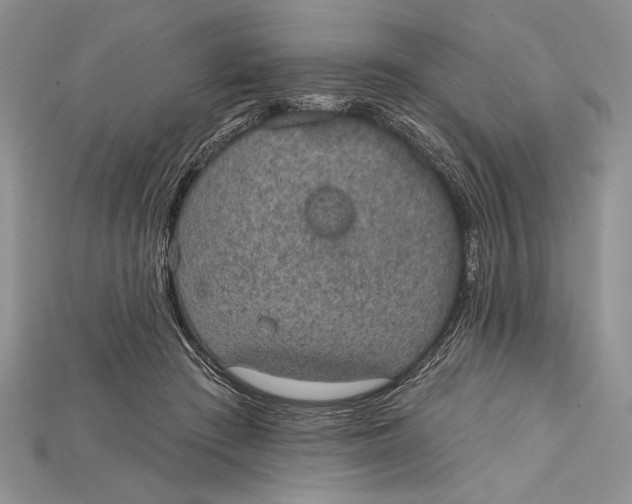 X0000114670409200911121337