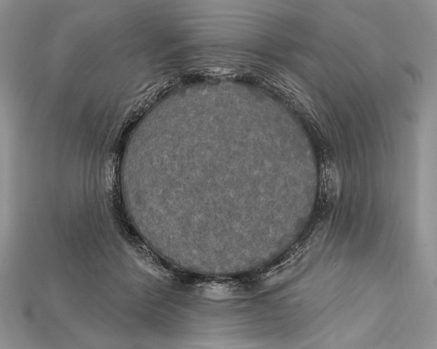 X0000114670412200911121337