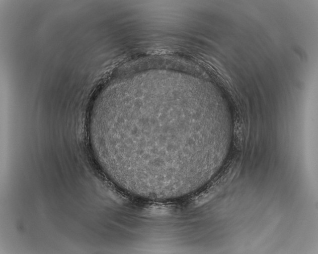 X0000114670416200911121337