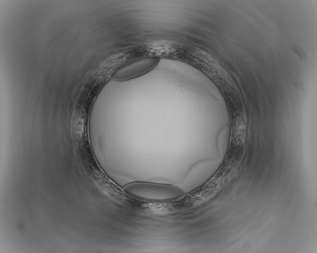 X0000114670417200911121337