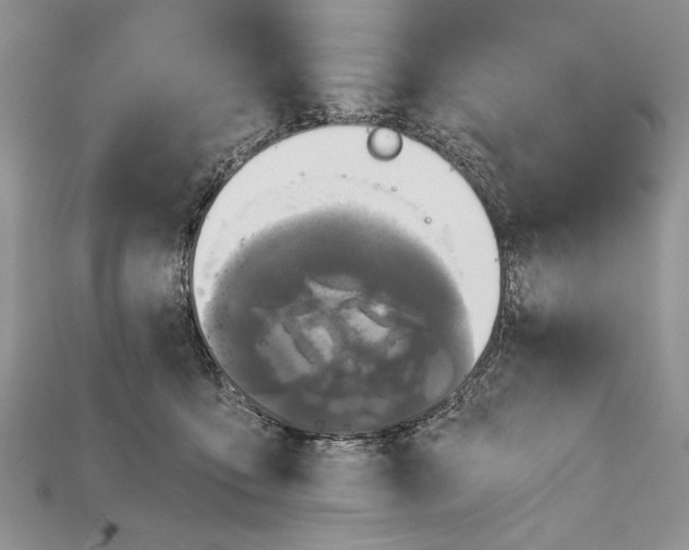 X0000114670419200911121337