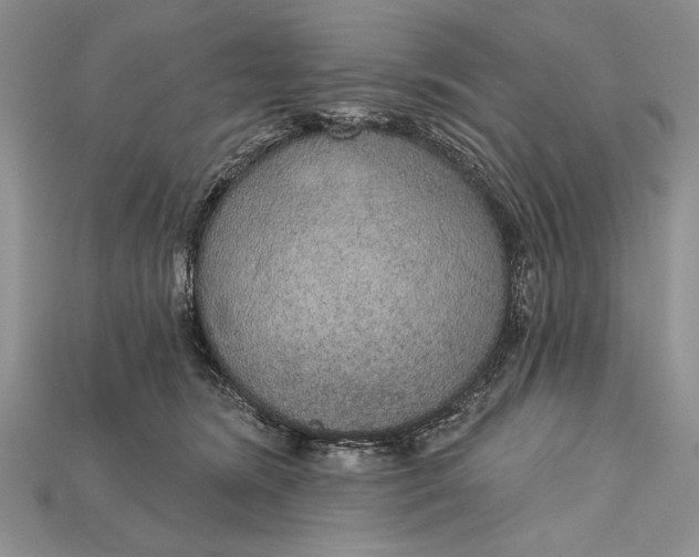 X0000114670420200911121337