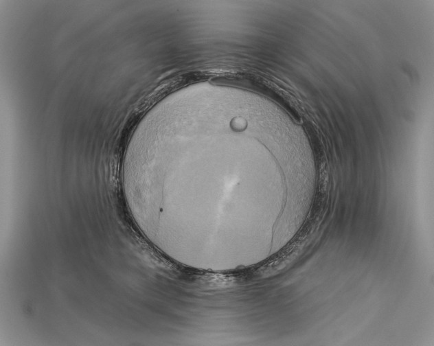 X0000114670421200911121337