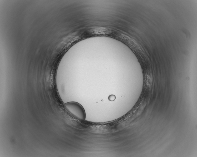 X0000114670422200911121337