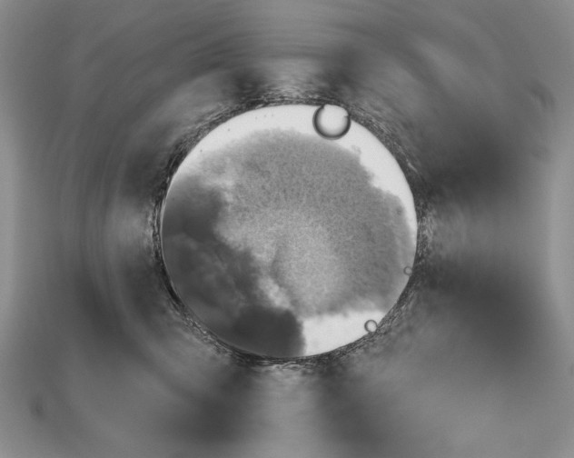 X0000114670423200911121337