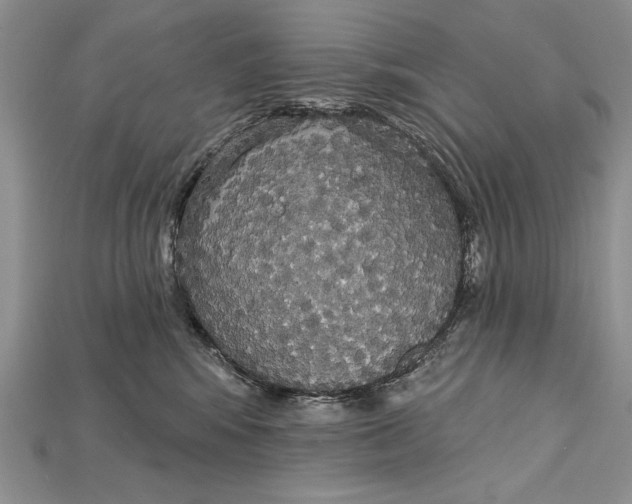 X0000114670424200911121337