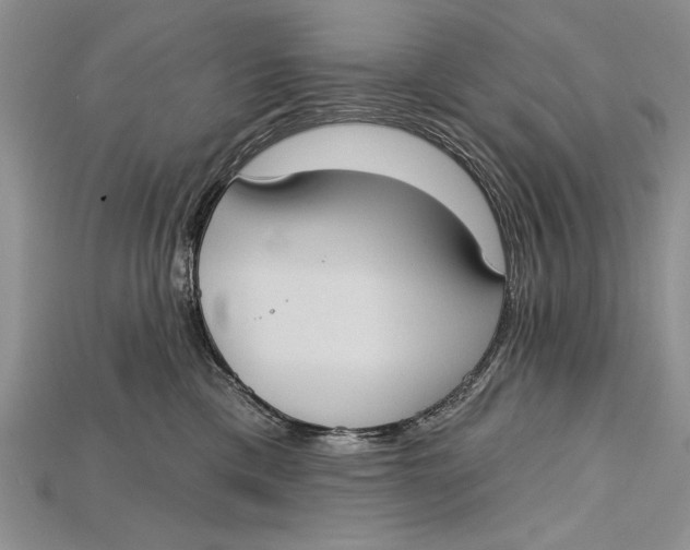 X0000114670425200911121337