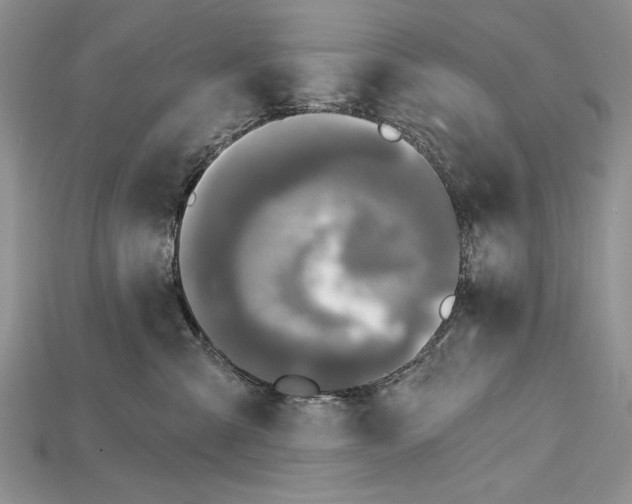 X0000114670427200911121336