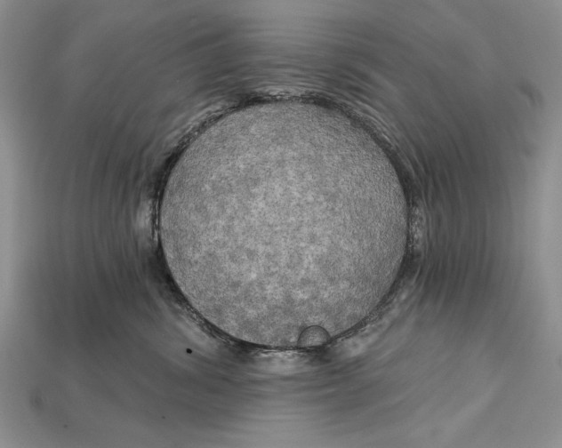 X0000114670428200911121336