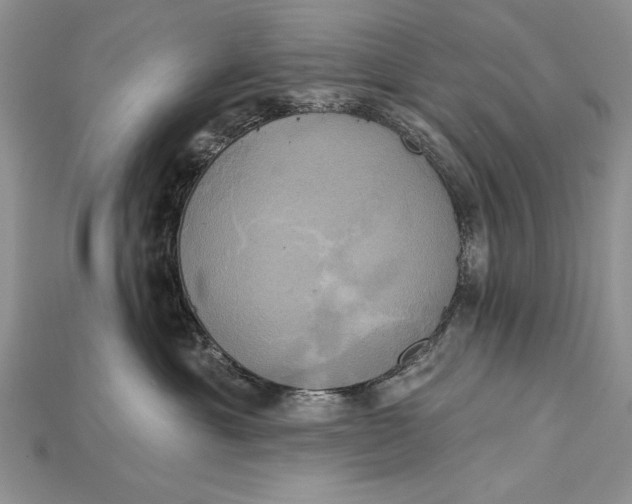 X0000114670429200911121336