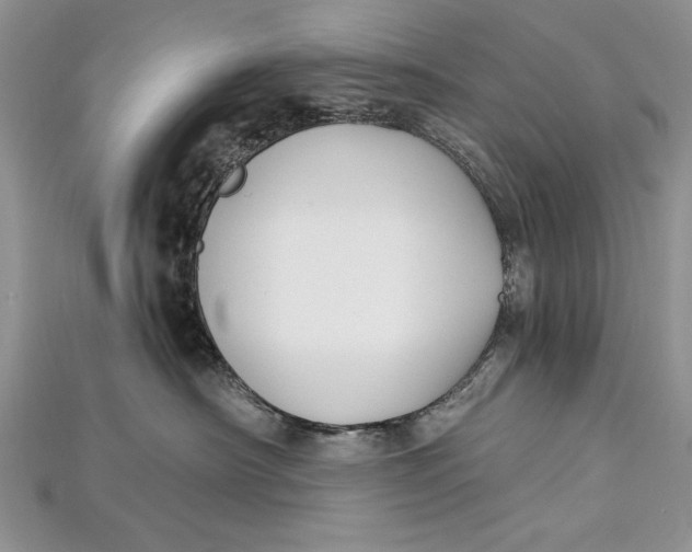 X0000114670430200911121336