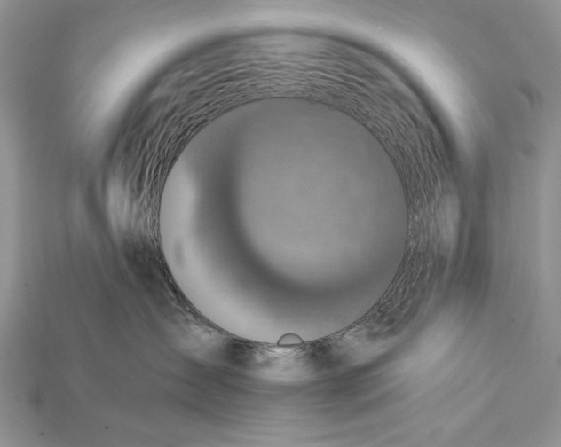 X0000114670431200911121336