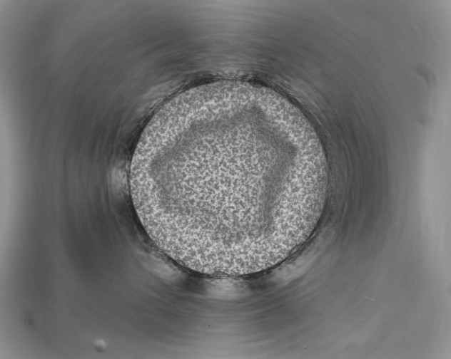 X0000114670432200911121336