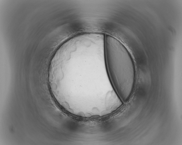 X0000114670433200911121336