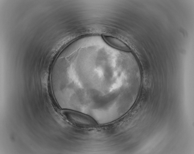 X0000114670434200911121336