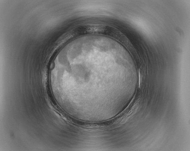 X0000114670435200911121336