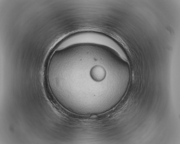 X0000114670436200911121336