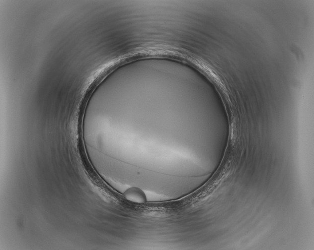 X0000114670438200911121336