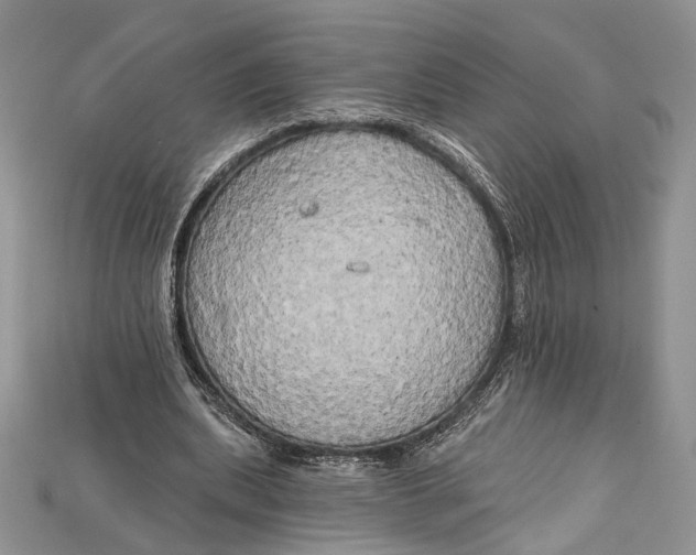 X0000114670439200911121336