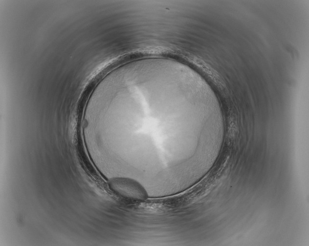 X0000114670440200911121336