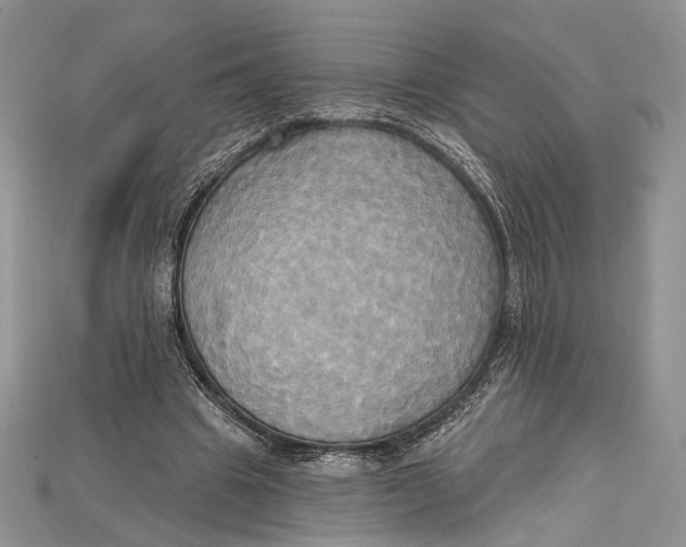 X0000114670441200911121336