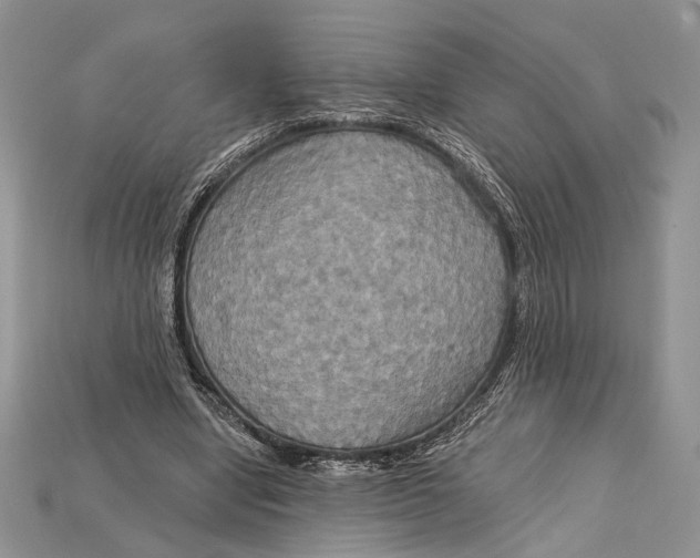 X0000114670442200911121336