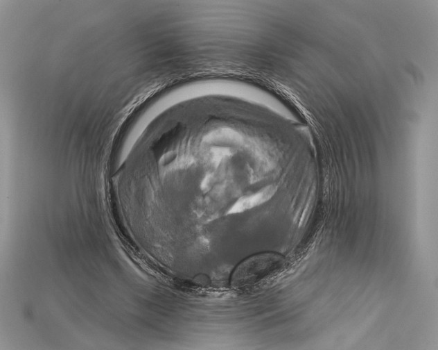 X0000114670443200911121336