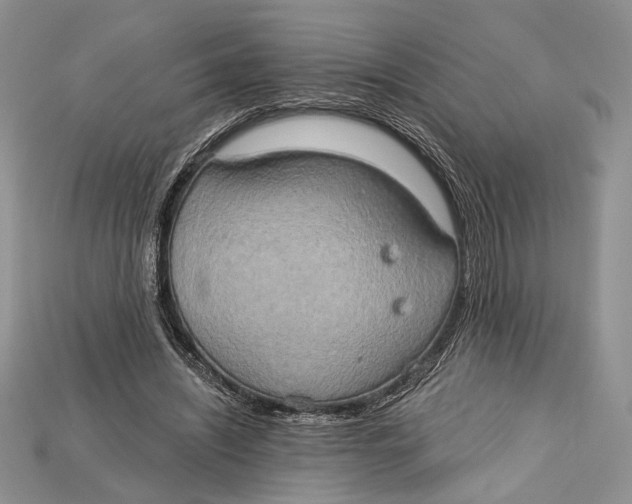 X0000114670444200911121336