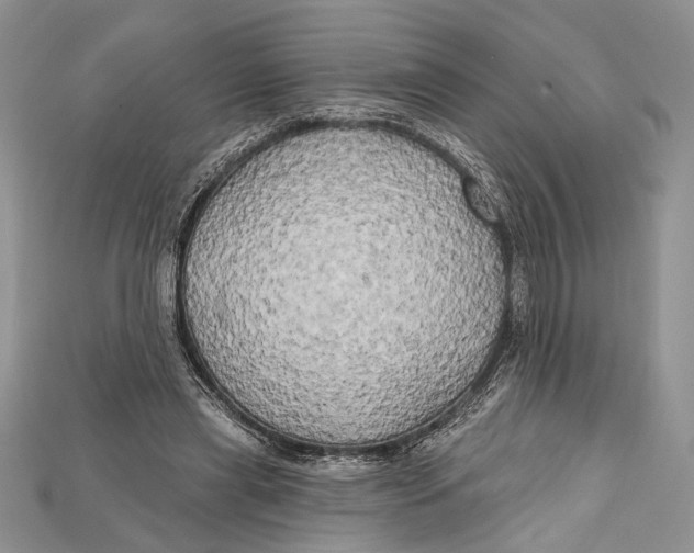 X0000114670445200911121336