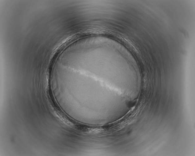 X0000114670446200911121336