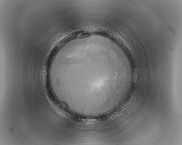 X0000114670448200911121336